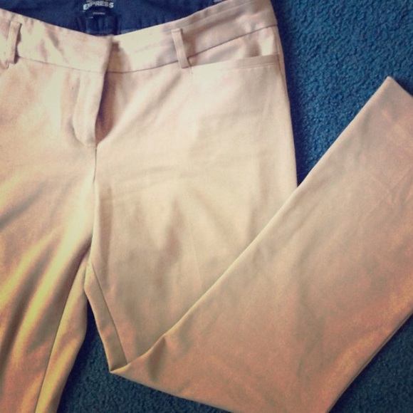 Express Dress Pants