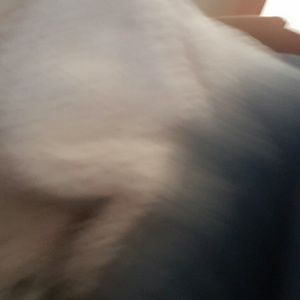 Meet your Posher, Heidi