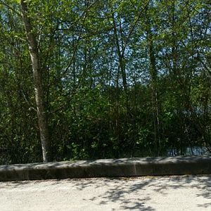 Meet your Posher, Bailey