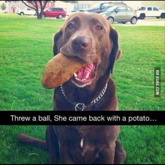 Meet your Posher, Julie - Picture 2 of 2