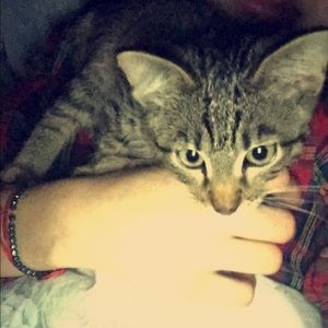 Meet your Posher, Maya