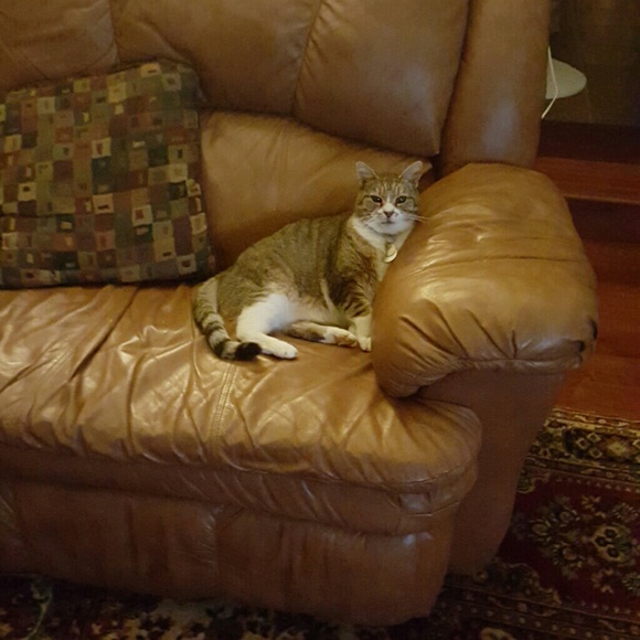 Meet your Posher, E - Picture 1 of 1