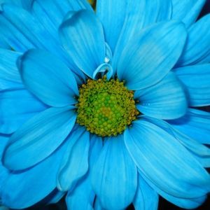 Meet your Posher, Kyree