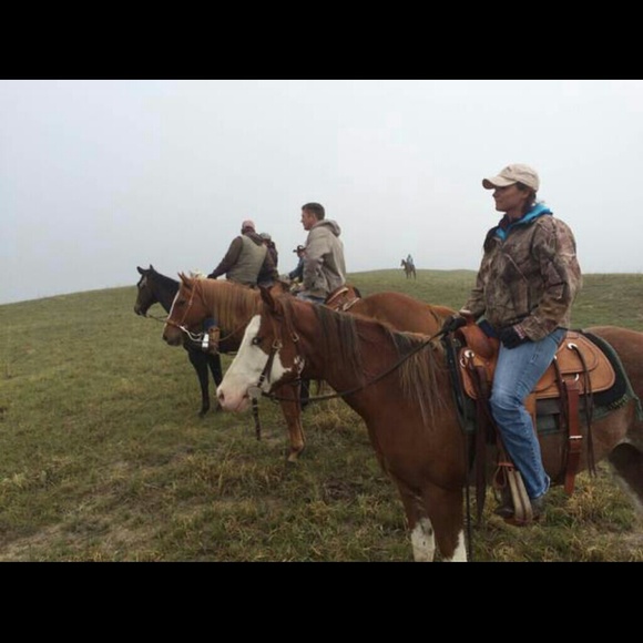 Meet your Posher, Audrey - Picture 1 of 1