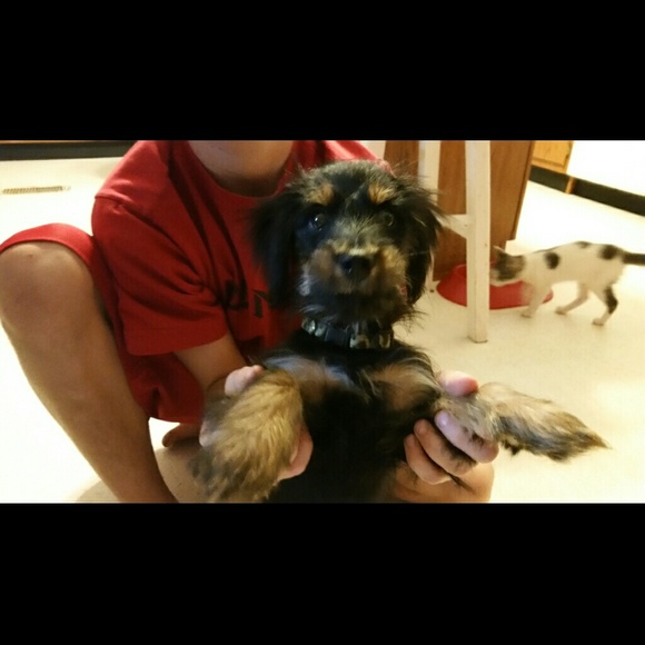 Meet your Posher, Kristel - Picture 1 of 1