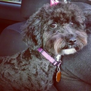 Meet your Posher, Christine