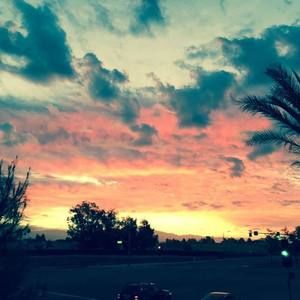 Meet your Posher, Dennis