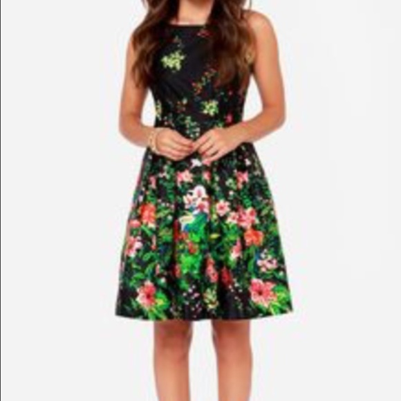 Floral Print Fit & Flare