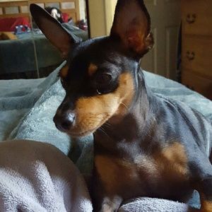 Meet your Posher, Jen