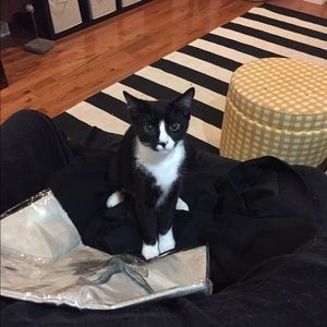 Meet your Posher, Kristina