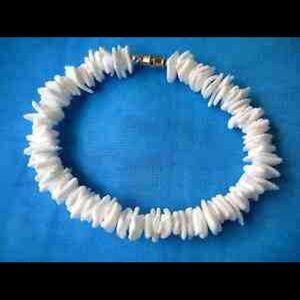 White pula shell bracelet