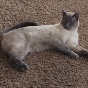 Meet your Posher, Erica