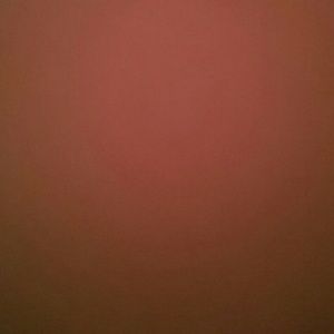 Meet your Posher, Lizbeth