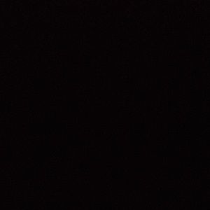 Meet your Posher, Maya