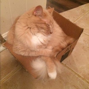 Meet your Posher, Hillary