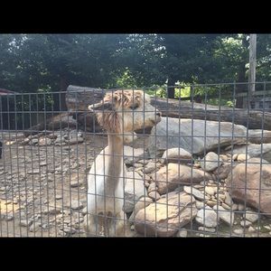 Meet your Posher, Mindy