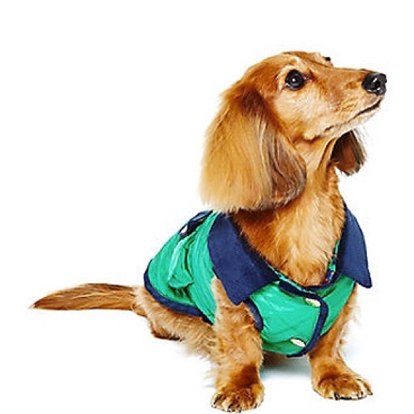 C. Wonder Orange Pet Lightweight Quilted Puff Coat