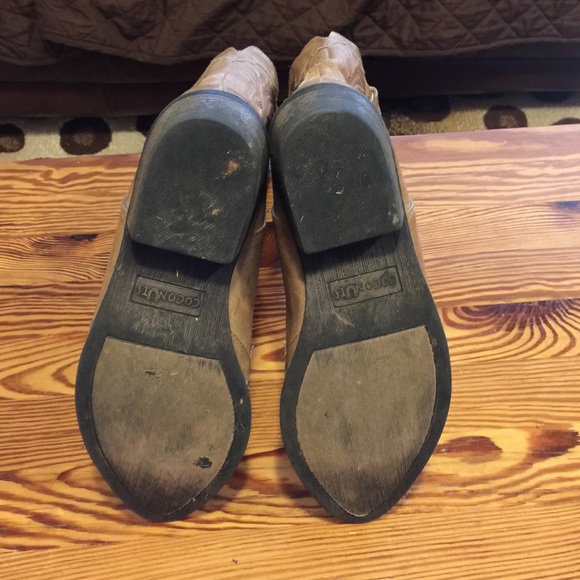 Coconuts from Buckle - Picture 2 of 4