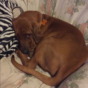 Meet your Posher, Katie