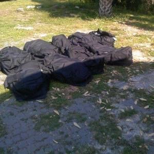 Meet your Posher, Artie