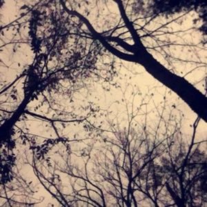 Meet your Posher, Zoey