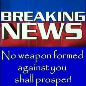 Meet your Posher, Bridgette