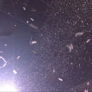 Meet your Posher, Audrey