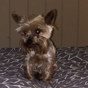 Meet your Posher, Emily