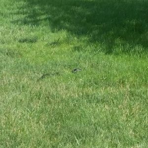 Meet your Posher, Jessenia