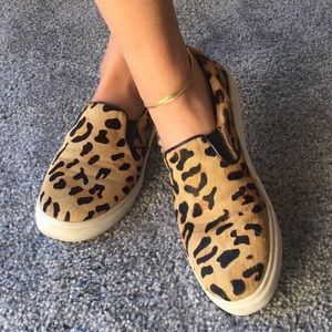 Steve Madden Cheetah Sneakers