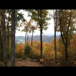 Meet your Posher, Renee