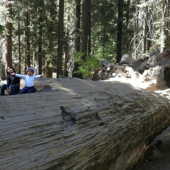 Meet your Posher, Ana - Picture 3 of 5