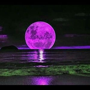 Meet your Posher, Hope