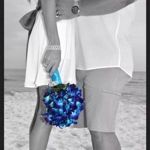 Meet your Posher, Ginger