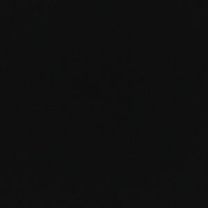 Meet your Posher, Lily