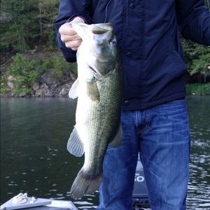 Meet your Posher, Jon