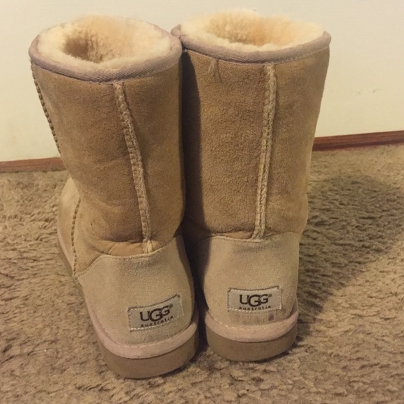 UGG Shoes - Tan Short UGG Boots