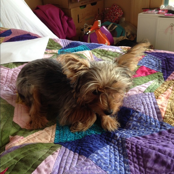 Meet your Posher, Brielle - Picture 1 of 1