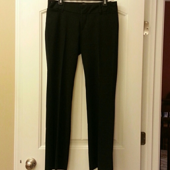 Dress pants