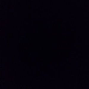 Meet your Posher, Greyson