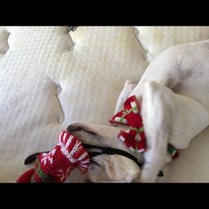 Meet your Posher, Maxine