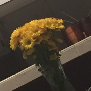 Meet your Posher, Ingal