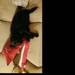 Meet your Posher, Sonya