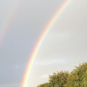 Meet your Posher, Elisa