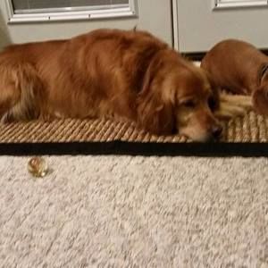 Meet your Posher, Debra