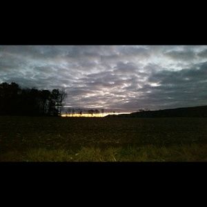 Meet your Posher, Tracey