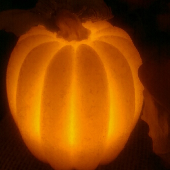 Meet your Posher, Pamela - Picture 1 of 1