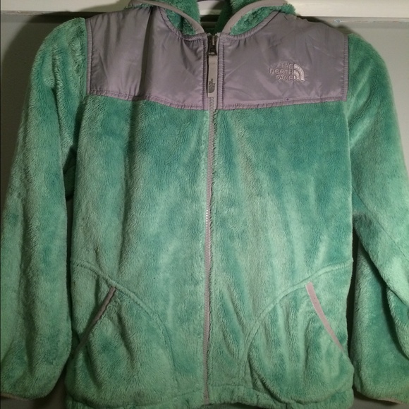 The North Face Jackets & Blazers - The North Face