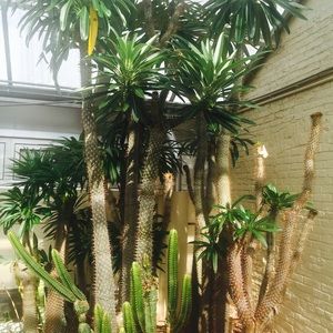 Meet your Posher, Tracie