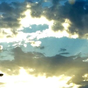 Meet your Posher, Desiree